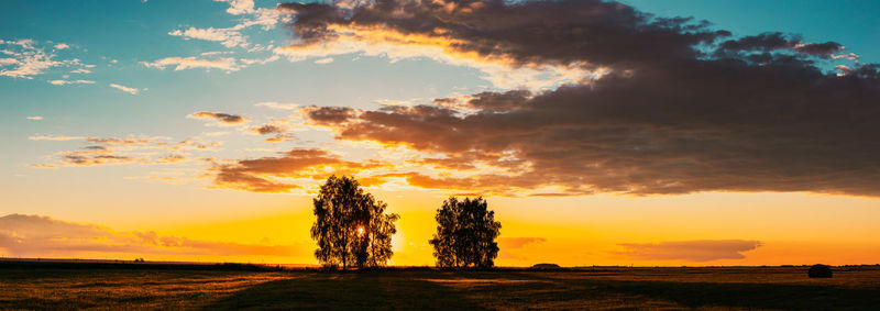 Trees on field against sky during sunset