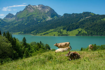 Scenic view of lake and mountains against sky