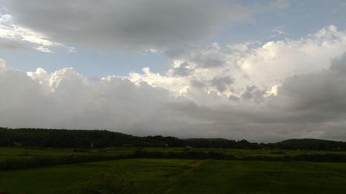 Scenic view of field against sky