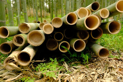 Stack of firewood by plants in field