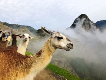 Scenic view of a mountain range