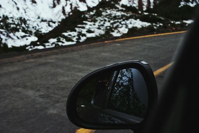 Reflection of trees in side-view mirror