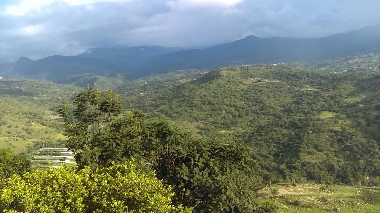 mountain, tree, nature, scenics, landscape, beauty in nature, no people, tranquil scene, growth, tranquility, green color, mountain range, day, outdoors, sky