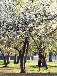 Full length of woman with flowers on tree