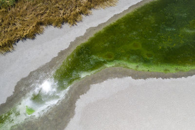 High angle view of plant on beach