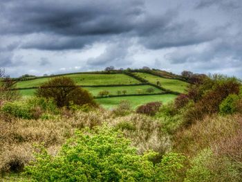 Scenic view of field against cloudy sky