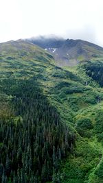 Scenic view of mountain against sky