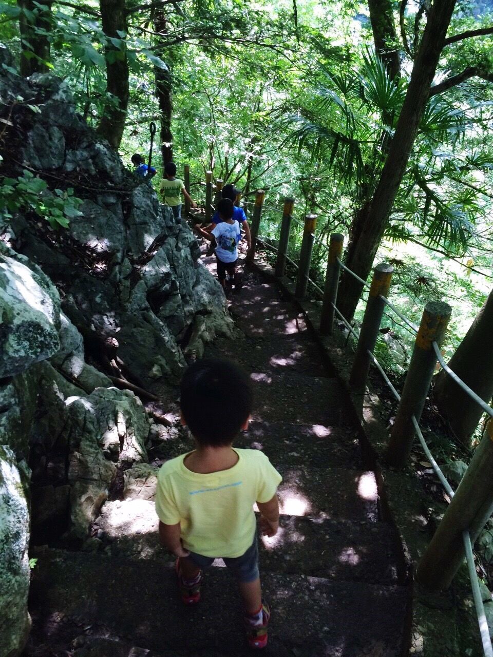 tree, forest, rear view, childhood, leisure activity, lifestyles, girls, steps, casual clothing, tranquil scene, full length, tourist, footpath, tranquility, staircase, day, growth, stairs, nature, outdoors, weekend activities, person, vacations, tourism