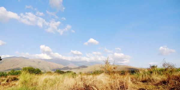 Scenic view of field against sky