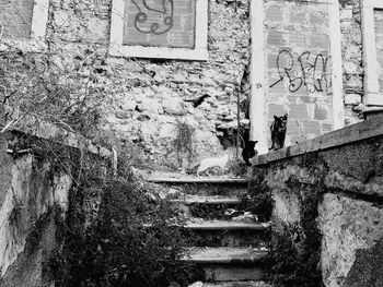 Staircase of old building