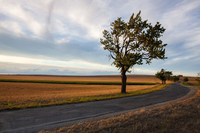 Road amidst field against sky