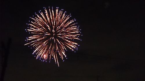 Low angle view of firework display against sky at night