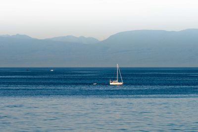 Boats sailing in sea