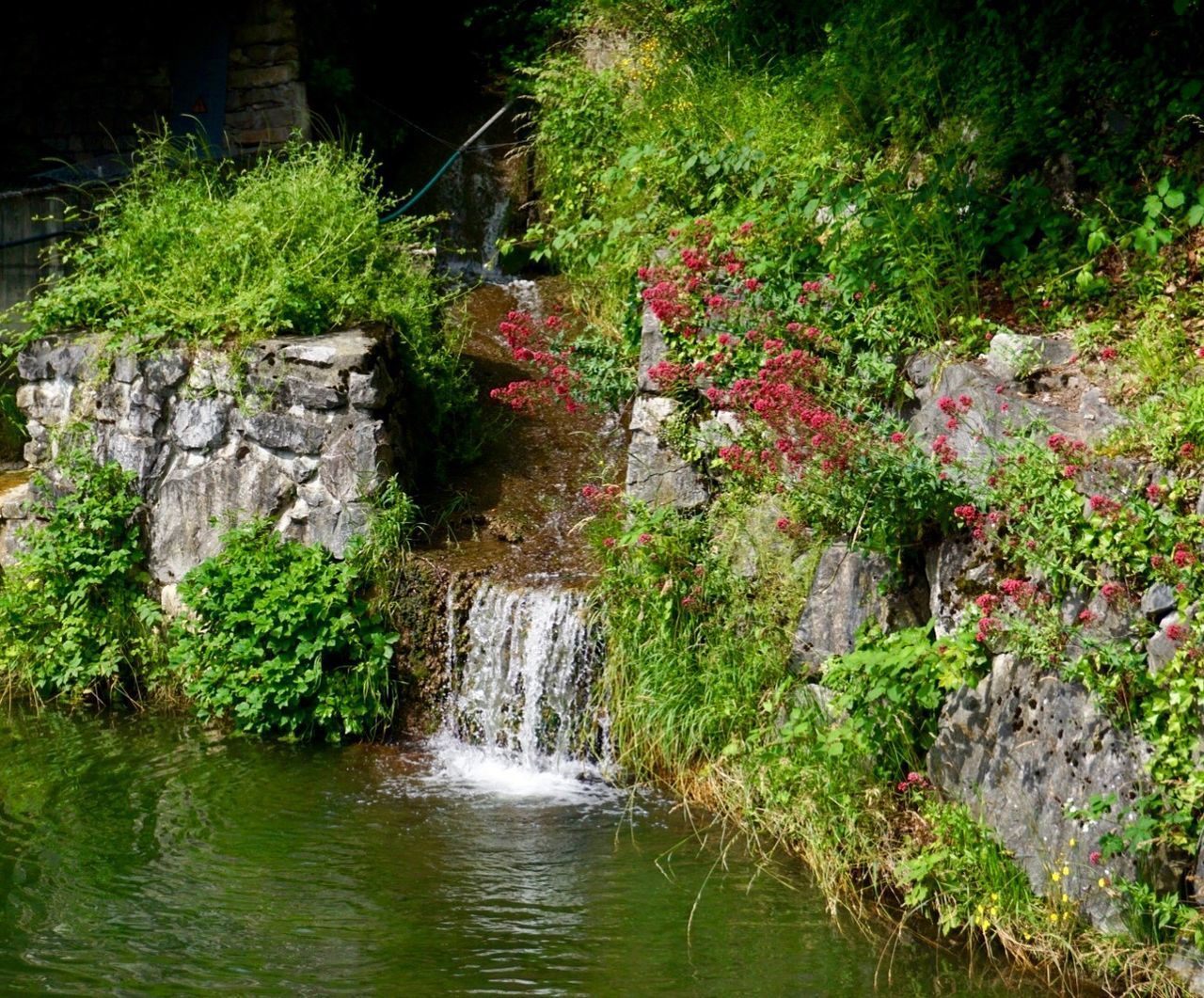 SCENIC VIEW OF WATERFALL IN GARDEN