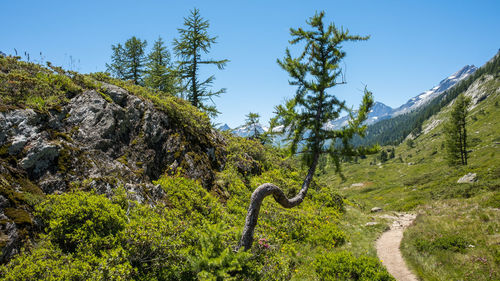 Scenic view of mountains against clear sky