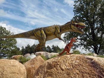 Low angle view of animal on rock against sky