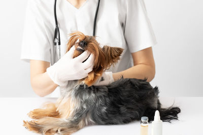 Midsection of woman with dog against white background