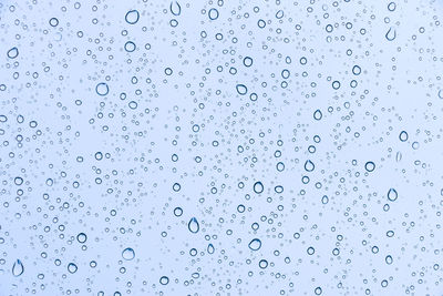 Full frame shot of water drops on glass window