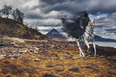 Rear view of people riding on land against sky