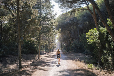 Rear view of woman walking in forest