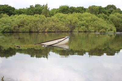 Scenic view of lake by trees against sky