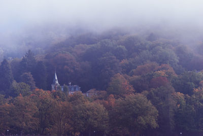 Trees and plants in forest against sky during autumn