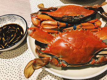 High angle view of food in plate