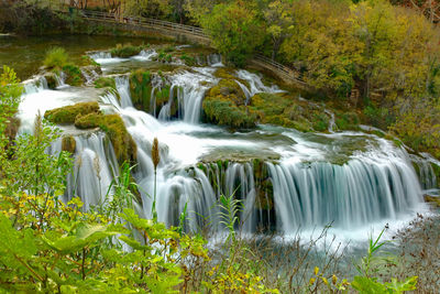 Scenic view of waterfall in forest