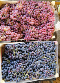 High angle view of grapes for sale at market stall