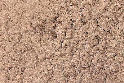 Close-up of cracked land