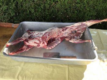 Fish for sale at market stall