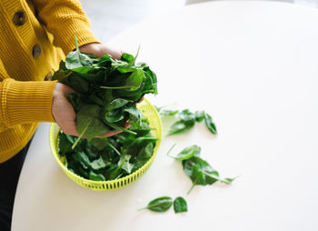 Women hands washing baby spinach leaves