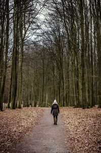 Rear view of man walking on footpath in forest