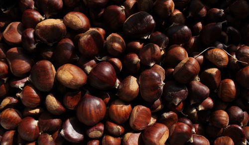 Close-up of hazelnuts