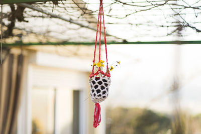 Close-up of red decoration hanging on tree