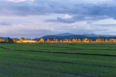 landscape