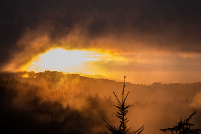 Silhouette trees against smoke emitting from mountains