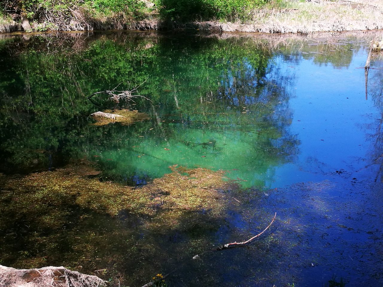 water, tranquility, lake, reflection, tranquil scene, nature, scenics - nature, beauty in nature, no people, day, plant, outdoors, non-urban scene, tree, idyllic, green color, high angle view, waterfront, standing water, purity, pollution