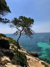 Scenic view of sea against clear blue sky