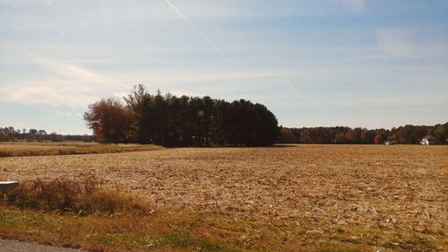 Scenic view of agricultural field against sky