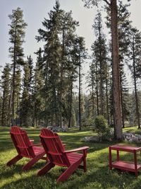 Chairs and trees in park against sky