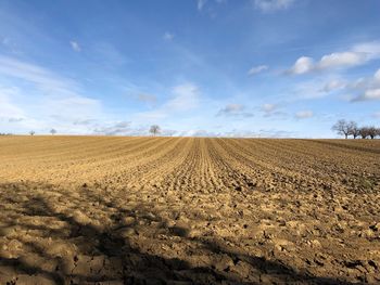 Scenic view of field against sky