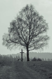 Tree on field against sky, with crucifix