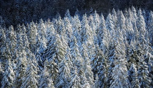 Full frame shot of snow