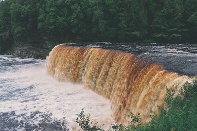 Scenic view of waterfall in forest