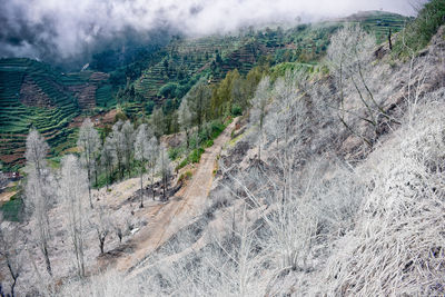 Scenic view of land against sky