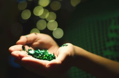 Close-up of hand holding green leaf