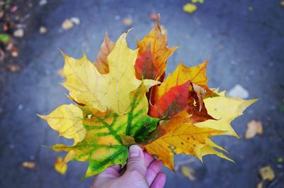 Cropped hand holding leaves during autumn