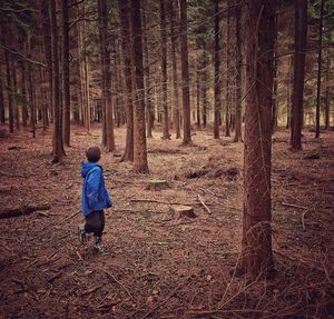 Full length of boy walking in forest