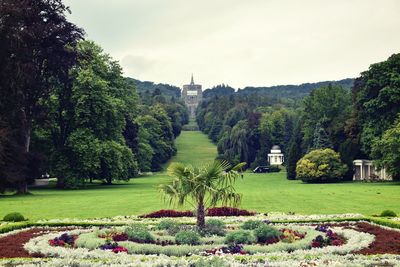 Trees and plants in garden